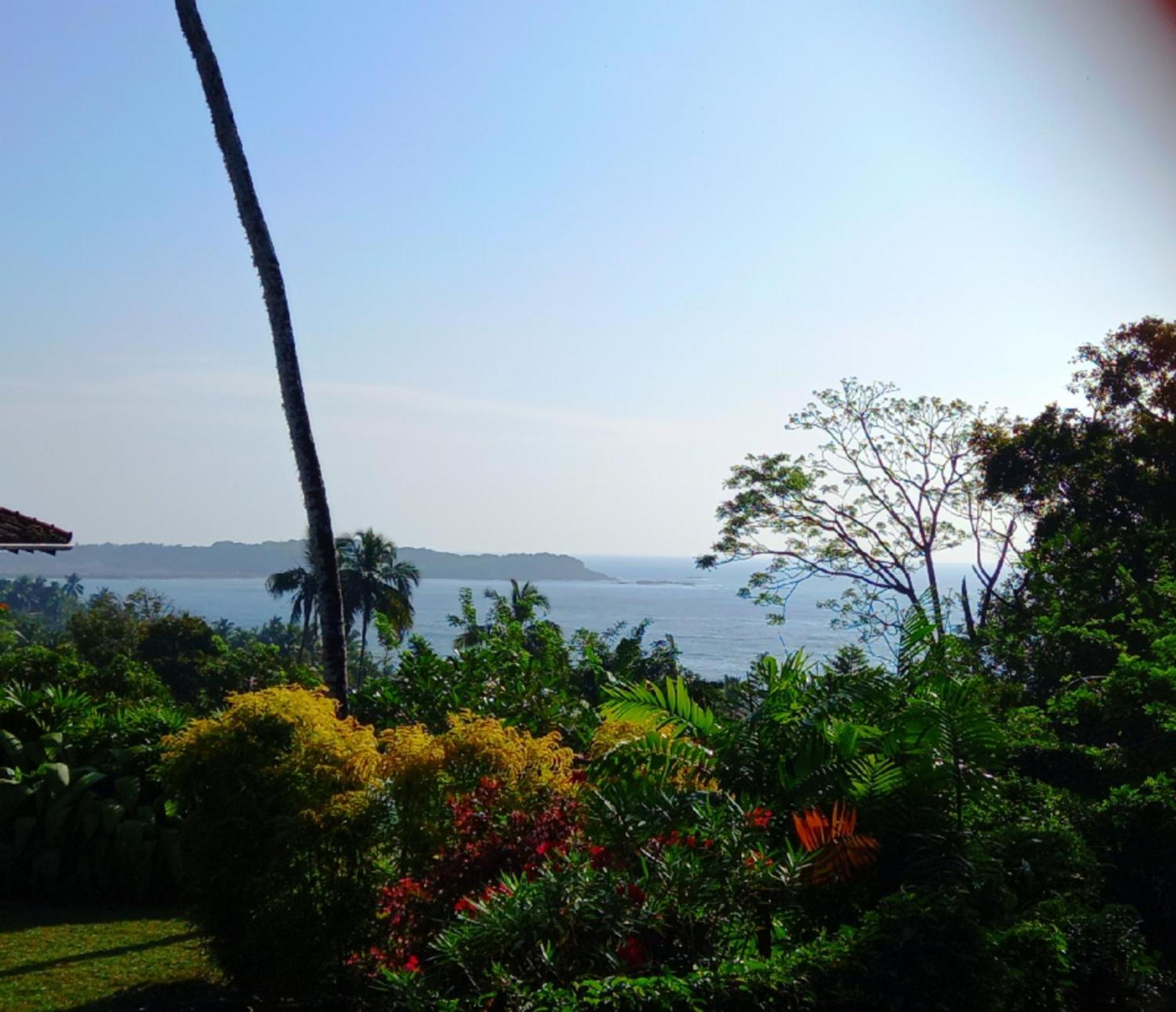 Blue Ocean Tree House Hiriketiya Villa Dikwella Eksteriør billede